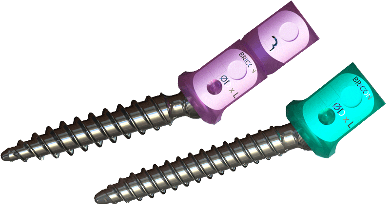 Octopoda-Screws