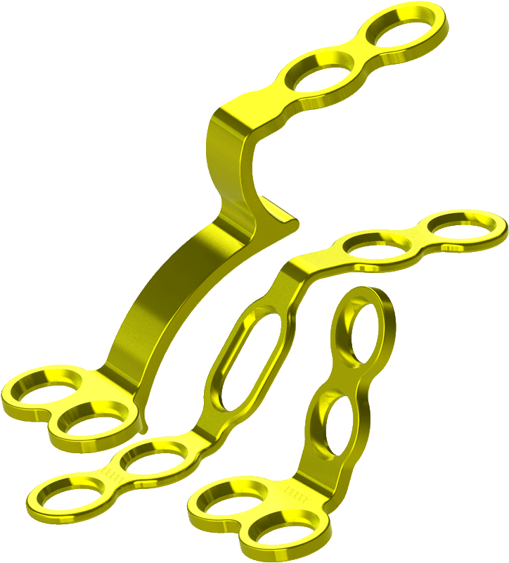Seahorse-Screws
